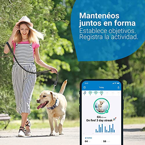 Tractive Collar GPS Perros (2021). Conoce Siempre la ubicación de tu Perro. Localización y Seguimiento de Actividad Las 24 h