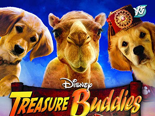 Treasure Buddies