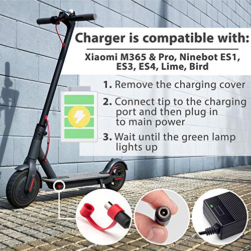 Vestigia® - Cargador de Batería Patinete Compatible Xiaomi M365, Pro 42v 2A Adaptador Universal UE Bicicleta Eléctrico, Cargadores de Scooter, Patinete Litio Baterias