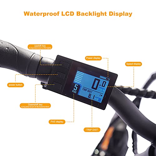 Bicicleta eléctrica plegable de 20 pulgadas, bicicleta eléctrica plegable, bicicleta eléctrica plegable con luz LED, para hombre y mujer, capacidad de carga de 120 kg (batería de 10 Ah)