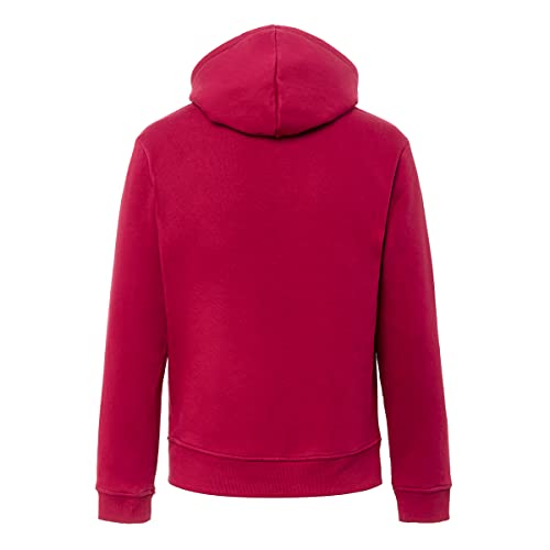 Izas Bernia Sudadera, Hombre, Rojo Mineral / Gris, L