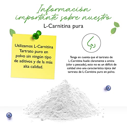 L-Carnitina Pura - 300 g de polvo puro sin aditivos - 100% L-Carnitina Tartrato - 100 raciones con 3000 mg de Carnitina en polvo - Vegano - Alta dosis