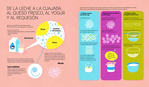 Las deliciosas aventuras de los hermanos Roca: Despierta la curiosidad científica a través de la cocina (Libros de conocimiento)