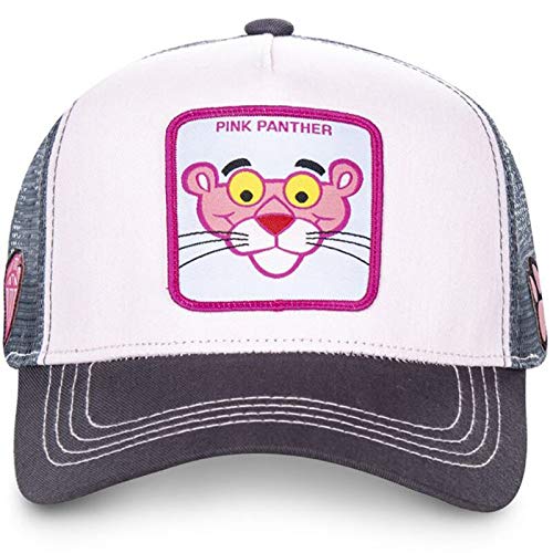 WAZHX Gorra De Béisbol Panther Anime Raccoon Comics Sombrero De Camionero Negro Gorra De   Malla Sombrero De Papá Ironman