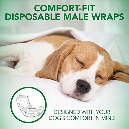 Comfort Fit Disposable Male Dog Diapers | Envolturas masculinas absorbentes con ajuste a prueba de fugas | Grande 12Pk