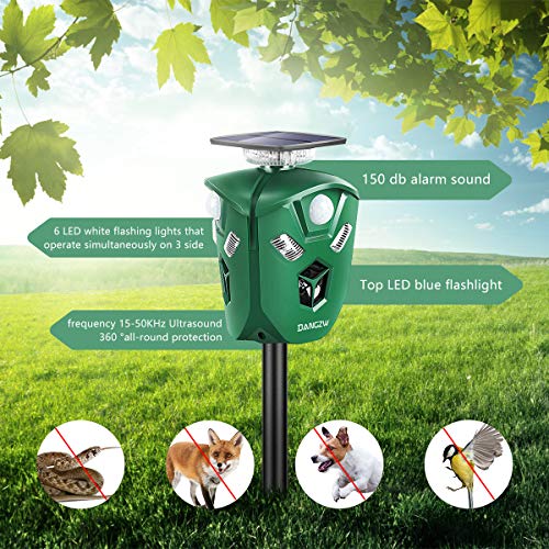 DANGZW Repelente de Gatos 2 en 1 USB y con Energía Solar, Repelente Ultrasónico Impermeable IP65 con Estaca en el Suelo, Disuasivo para Gatos, Perros, Zorros, Ratones, Martas