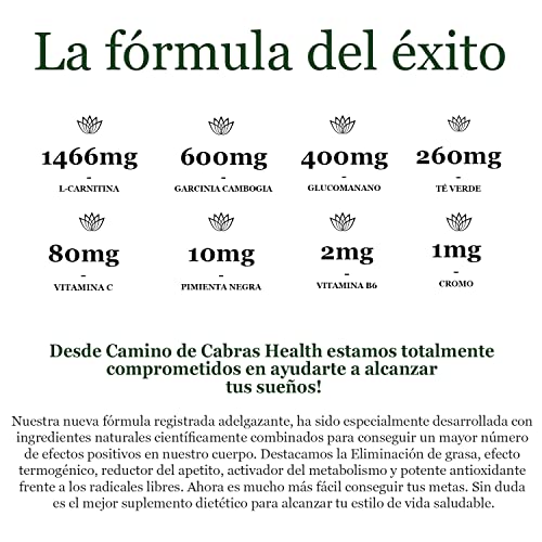 Fat Burner de Alto Impacto. Quemagrasas potente para Adelgazar. Antioxidante natural. Nueva Fórmula Registrada con Elevada concentración de activos, Vitaminas y Minerales. 90 cápsulas.