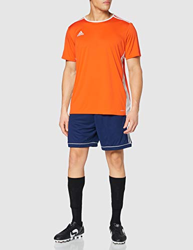 adidas Entrada 18 JSY T-Shirt, Hombre, Orange/White, L