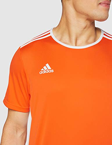 adidas Entrada 18 JSY T-Shirt, Hombre, Orange/White, L