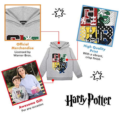 Harry Potter Hogwarts Casa crestas Niños Sudadera con Capucha Gris Heather 12-13 años