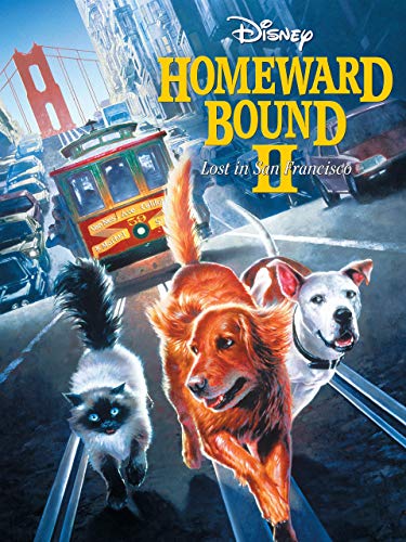 Homeward Bound II: Lost in San Francisco