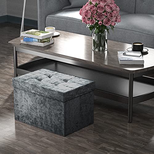 INTIRILIFE Otomana Plegable 49x30x30 cm en Terciopelo Gris - Asiento Cubo con Espacio de Almacenamiento y tapizado con Funda de Terciopelo - Asiento Cubo reposapiés Cofre