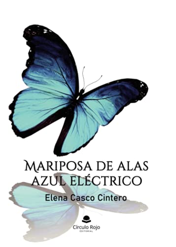 Mariposa de alas azul eléctrico