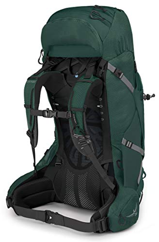 Osprey Aether Plus 60 Mochila, Adultos Unisex, AXO Green, L/XL