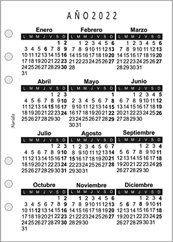 Recambio de agenda español. Año 2022. 1 día por página. DIN A5 (21 x 15 cm)