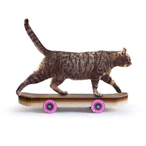 SUCK UK | Patineta para rascar para Gatos | Juguete para rascar en Forma de monopatín | Juguetes interactivos para Gatos | Regalos para Gatos y Gatitos