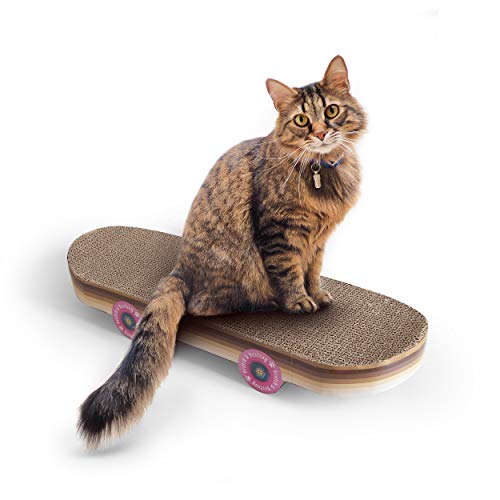 SUCK UK | Patineta para rascar para Gatos | Juguete para rascar en Forma de monopatín | Juguetes interactivos para Gatos | Regalos para Gatos y Gatitos