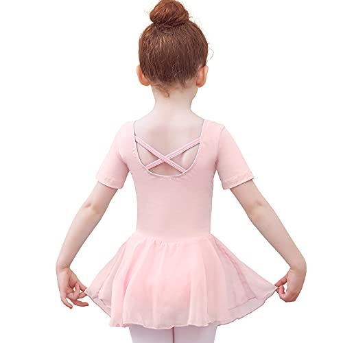 Tancefair Vestido de ballet para niñas y niños, con cuello en V, manga corta, con falda de gasa, Manga larga rosa