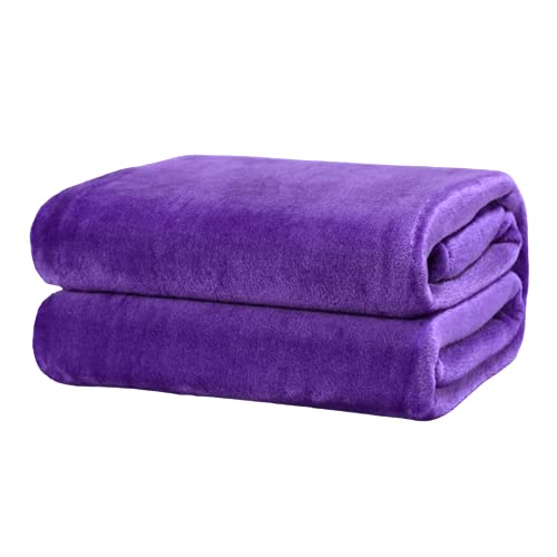 TIENDA EURASIA® Mantas para Sofá de Terciopelo - Material 100% Microfibra - Tacto Suave Sedalina (Morado, 160 X 220 CM)